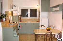 Apartament 1 camera, 52 mp, parcare, imobil nou, zona Parcului Babes