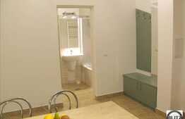 Apartament 1 camera, 52 mp, parcare, imobil nou, zona Parcului Babes
