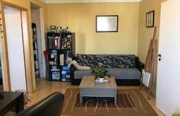 Apartament 2 camere, 50 mp, mobilat modern, zona Piata Mihai Viteazu