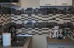 Apartament cu 1 camera, decomandat, zona strazii Izalzului 