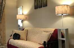 Apartament cu 1 camera, decomandat, zona strazii Izalzului 