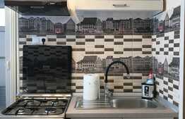 Apartament cu 1 camera, decomandat, zona strazii Izalzului 