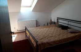 Zona centrala! Pret oportun! Posibilitate preluare chiriasi!