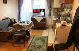 Apartament de vanzare, 2 camere, decomandat, 45 mp, Zona Terra!