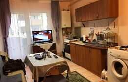 Apartament de vanzare, 2 camere, decomandat, 45 mp, Zona Terra!