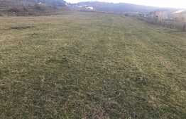 Exclusivitate! Teren pentru constructie ansamblu de case sau duplexuri, 15 500 mp !  