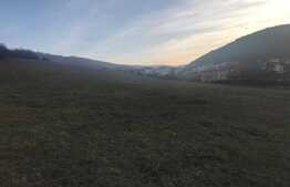 Exclusivitate! Teren pentru constructie ansamblu de case sau duplexuri, 15 500 mp !  