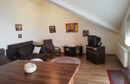 Daca iti cauti o locuinta interesanta iesita din tiparul clasic, vino sa-ti prezint acest apartament!