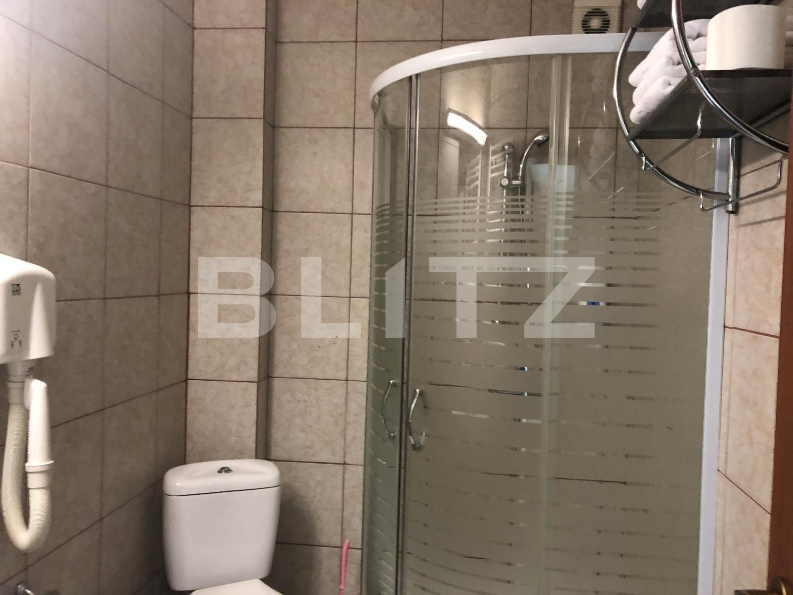 Spațiu birouri de închiriat Gruia - 37944SIB | BLITZ Cluj-Napoca | Poza12