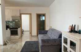 Apartament 3 camere, mobilat de lux, gradina 80 mp, prima inchiriere, parcare, zona strazii Calea Turzii