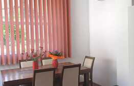 Casa 280 mp, garaj, zona Ultracentrala!