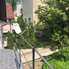 Casa de închiriat 7 camere Central - 37969CI - Poza 1 din 17 | BLITZ Cluj-Napoca | Poza16
