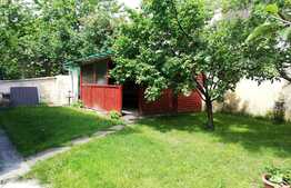 Salut! Am apartamentul cu gradina perfect pentru tine! 