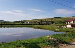 Exclusivitate, pensiune 438mp cu lac de agrement 3200mp in Com. Catina la 45km de Cluj