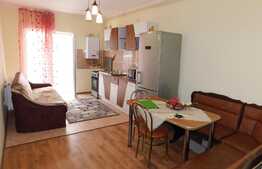 2 camere, 42 mp, etaj intermediar, zona Stejarului