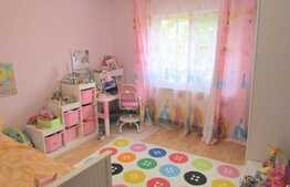 Oportunitate! De vanzare apartament 2 camere decomandate , 54 mp, zona strazii Dunarii 