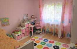 Oportunitate! De vanzare apartament 2 camere decomandate , 54 mp, zona strazii Dunarii 