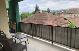 Apartament in vila, 3 camere, decomandat, garaj, boxa, zona Eremia Grigorescu