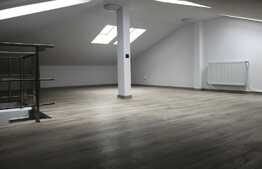 Duplex 160 mp, modern, prima inchiriere, zona Calea Borhanciului!