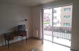 Apartament cu 1 camera, mobilat si utilat! Zona strazii Florilor!