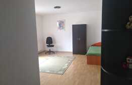 Apartament cu 1 camera, mobilat si utilat! Zona strazii Florilor!