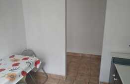 Apartament cu 1 camera, mobilat si utilat! Zona strazii Florilor!