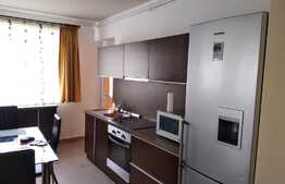 Apartament cu 2 camere, mobilat, utilat! Zona Sub Cetate!