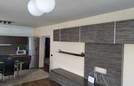 Apartament cu 2 camere, mobilat, utilat! Zona Sub Cetate!