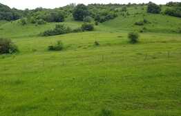 Iti doresti un apartament modern, la prima inchiriere  si cu o priveliste unica?