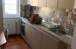 Apartament 2 camere, 42mp zona Iulius Mall