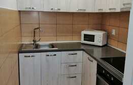 IDEAL pentru investitie. Zona cautata, suprafata calculata, chiriasii te asteapta! 60 mp utili+ 22 de terasa, zona Plopilor!