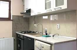 Apartament cu 3 camere in vila, mobilat modern, parcare, zona Ira!