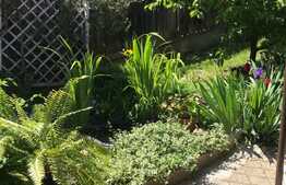 De vanzare casa individuala 122 mp, teren 630 mp, zona strazii Maramuresului 