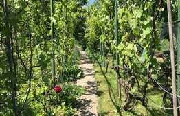 De vanzare casa individuala 122 mp, teren 630 mp, zona strazii Maramuresului 