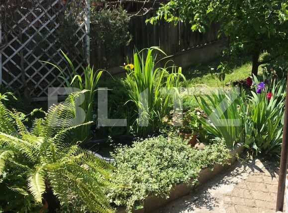 Casa de vânzare 5 camere Dambul Rotund - 38047CV | BLITZ Cluj-Napoca | Poza11