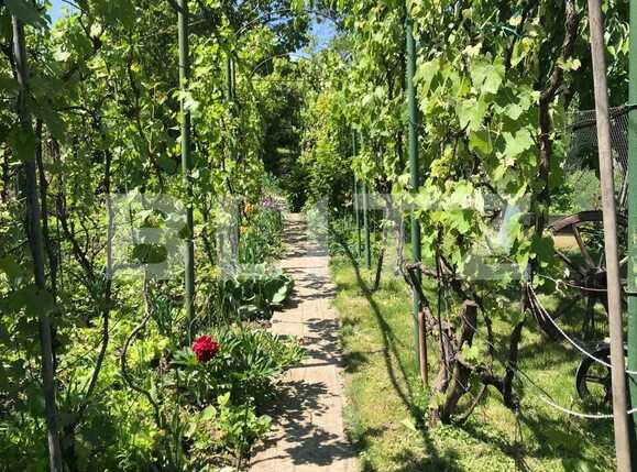 Casa de vânzare 5 camere Dambul Rotund - 38047CV | BLITZ Cluj-Napoca | Poza10