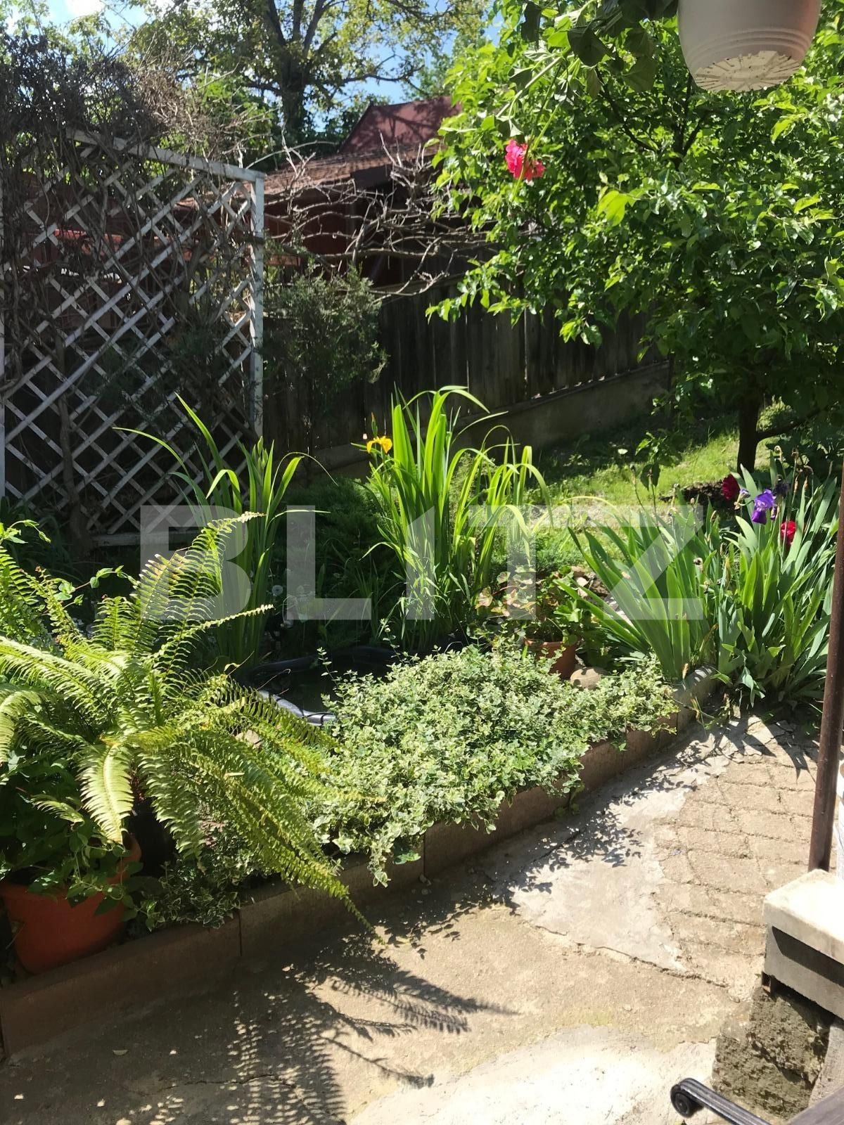 Casa de vânzare 5 camere Dambul Rotund - 38047CV | BLITZ Cluj-Napoca | Poza11