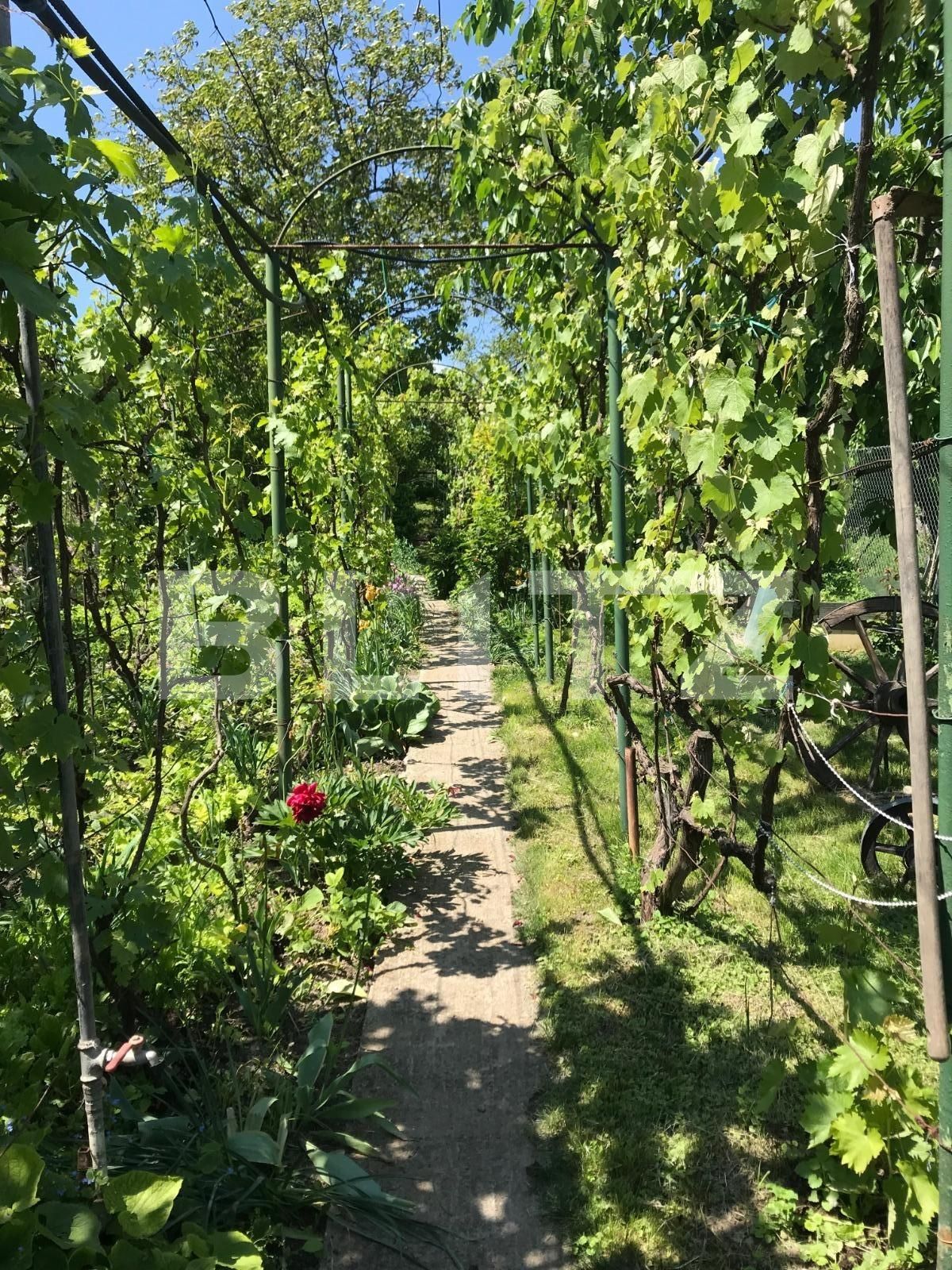 Casa de vânzare 5 camere Dambul Rotund - 38047CV | BLITZ Cluj-Napoca | Poza10