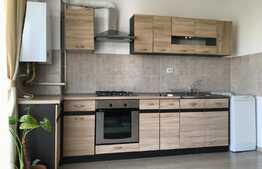 Apartament cu 2 camere langa Iulius Mall!!!