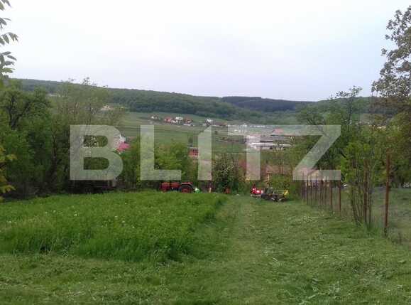 Casa de vânzare 3 camere Exterior Nord - 38067CV | BLITZ Cluj-Napoca | Poza4