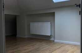 Penthouse 95 mp, zona Aurel Vlaicu!