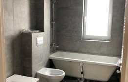 Penthouse 95 mp, zona Aurel Vlaicu!