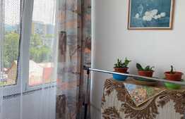 Garsoniera decomandata, 29 mp, zona Complex Diana