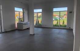 Spatiu comercial, 68mp, zona Catanelor, Floresti