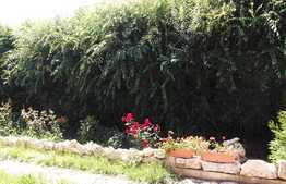 De vanzare casa individuala finisata, 190 mp utili, teren 1500 mp, zona Exterior Nord