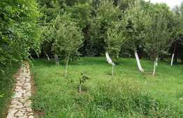 De vanzare casa individuala finisata, 190 mp utili, teren 1500 mp, zona Exterior Nord