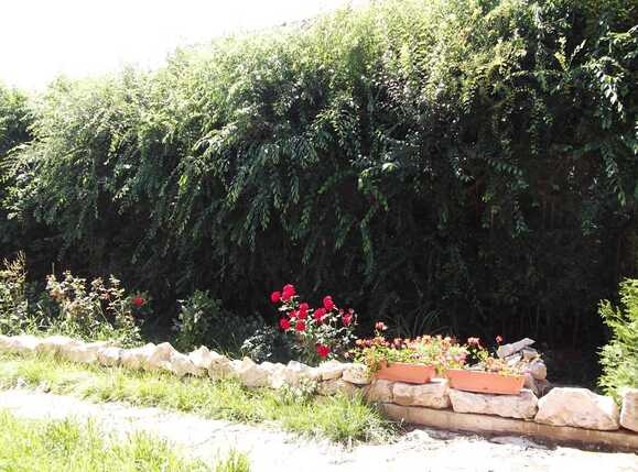 Casa de vânzare 6 camere Exterior Nord - 38082CV | BLITZ Cluj-Napoca | Poza10