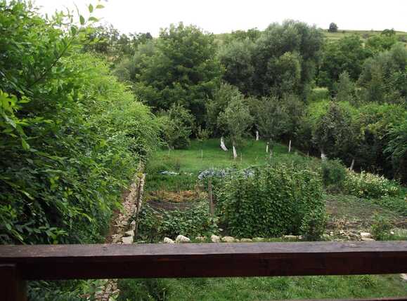 Casa de vânzare 6 camere Exterior Nord - 38082CV | BLITZ Cluj-Napoca | Poza3