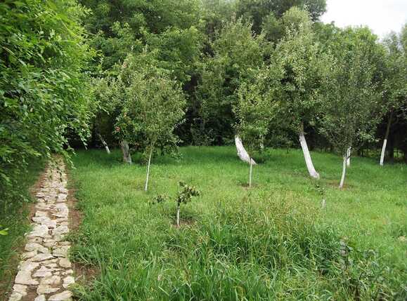 Casa de vânzare 6 camere Exterior Nord - 38082CV | BLITZ Cluj-Napoca | Poza8