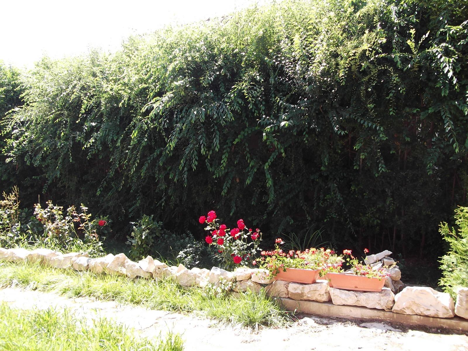 Casa de vânzare 6 camere Exterior Nord - 38082CV | BLITZ Cluj-Napoca | Poza10